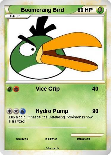 Pokemon Boomerang Bird