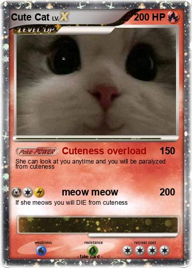 Pokemon Cute Cat