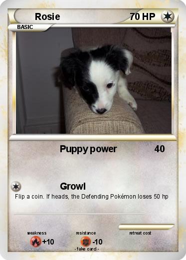Pokemon Rosie