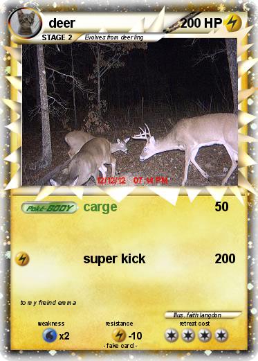 Pokemon deer