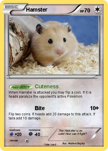 Pokemon Hamster