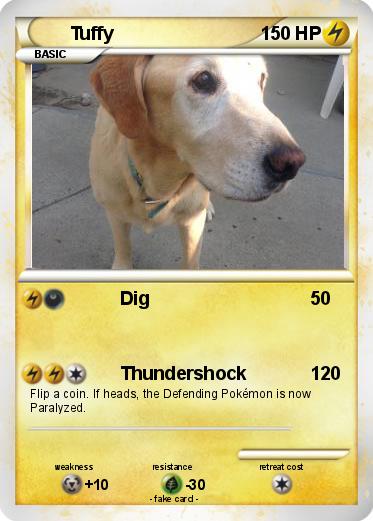 Pokemon Tuffy