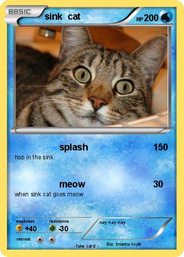 Pokemon sink  cat