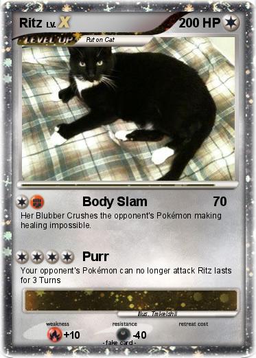 Pokemon Ritz