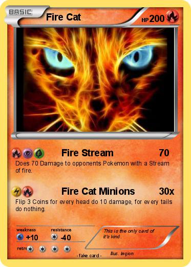 Pokemon Fire Cat