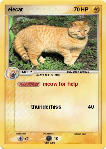 Pokemon elecat