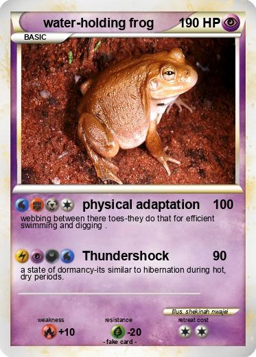 Pokemon water-holding frog