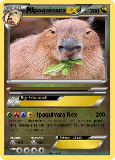 Pokemon Ipaquivara
