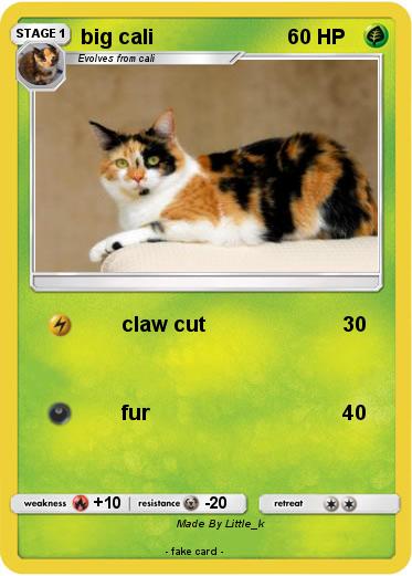 Pokemon big cali