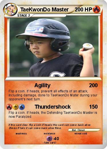 Pokemon TaeKwonDo Master