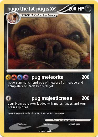 Pokemon hugo the fat pug