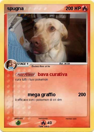 Pokemon spugna