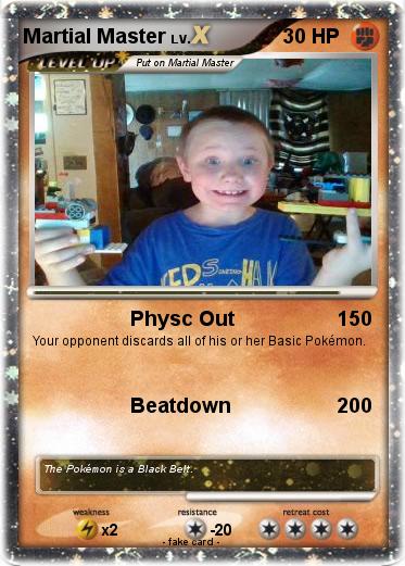 Pokemon Martial Master