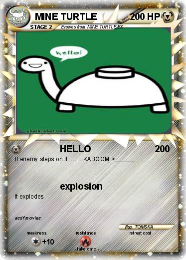 Pokemon MINE TURTLE