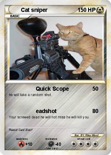Pokemon Cat sniper