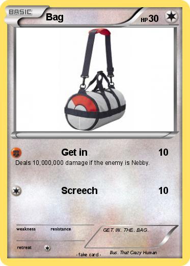 Pokemon Bag