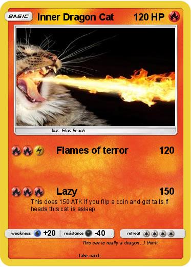 Pokemon Inner Dragon Cat