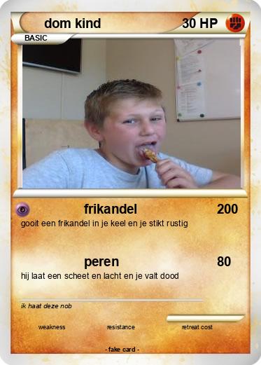 Pokemon dom kind