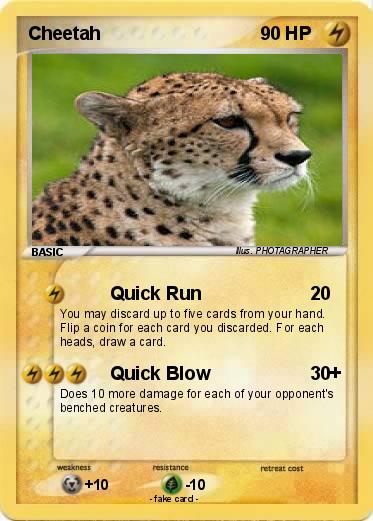 Pokemon Cheetah