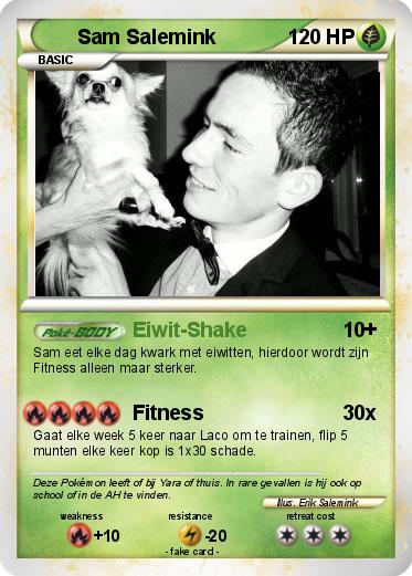 Pokemon Sam Salemink