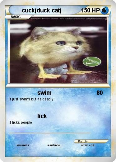 Pokemon cuck(duck cat)