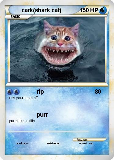 Pokemon cark(shark cat)