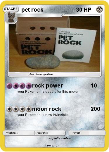 Pokemon pet rock
