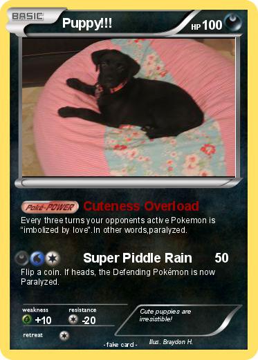 Pokemon Puppy!!!