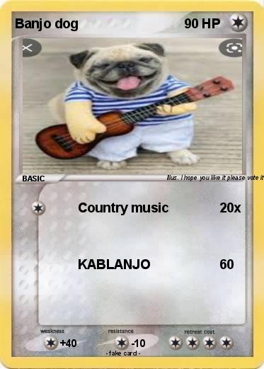 Pokemon Banjo dog