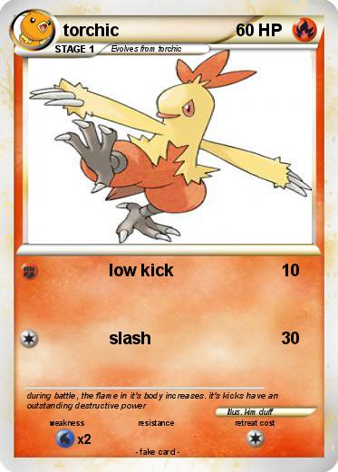 Pokemon torchic