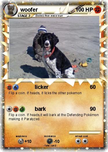 Pokemon woofer