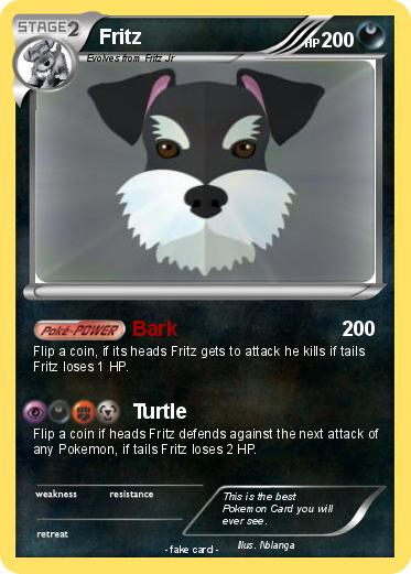 Pokemon Fritz