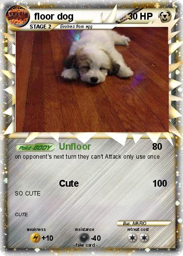 Pokemon floor dog