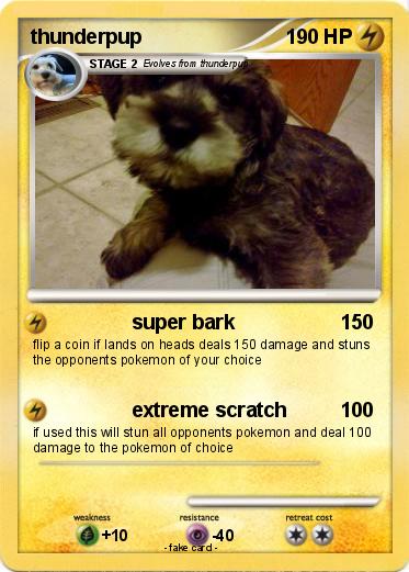 Pokemon thunderpup