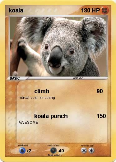 Pokemon koala