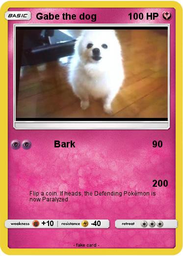 Pokemon Gabe the dog