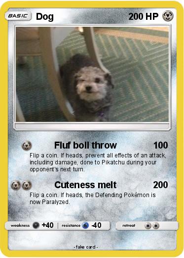 Pokemon Dog