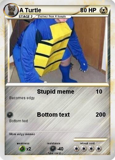 Pokemon A Turtle