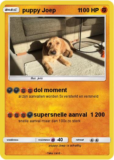 Pokemon puppy Joep              1