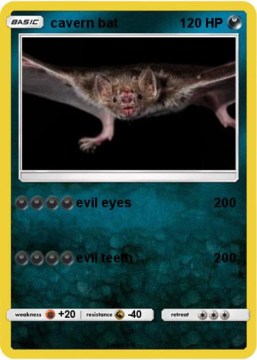 Pokemon cavern bat