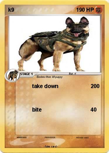 Pokemon k9