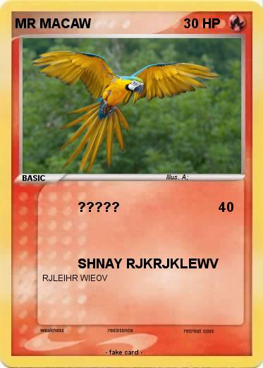 Pokemon MR MACAW