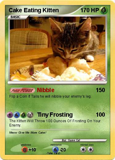 Pokemon Cake Eating Kitten