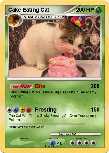 Pokemon Cake Eating Cat
