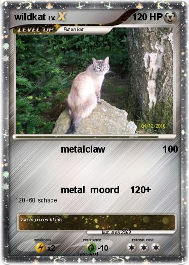 Pokemon wildkat