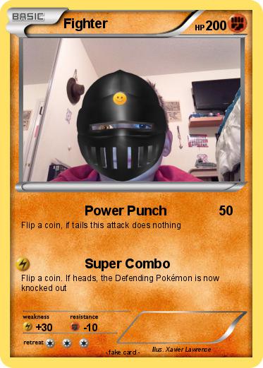 Pokemon Fighter