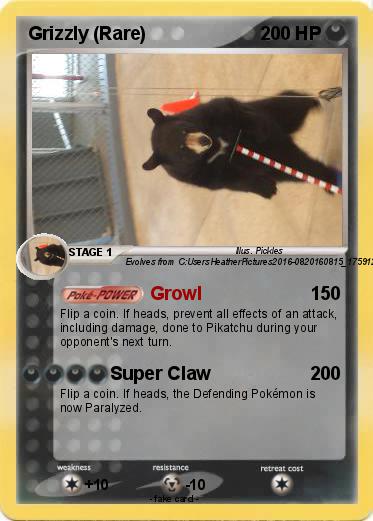 Pokemon Grizzly (Rare)