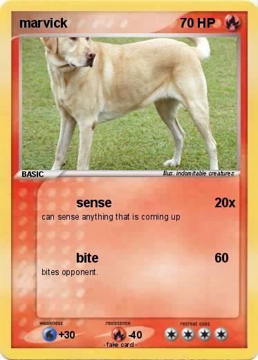 Pokemon marvick