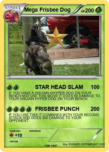 Pokemon Mega Frisbee Dog