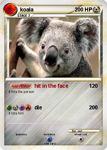 Pokemon koala